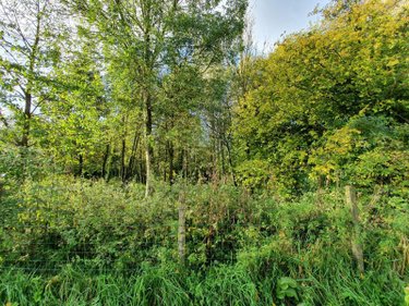 Terrains de loisirs bois etangs a vendre Ligny-sur-Canche 62270 Pas-de-Calais 6098 m2  32160 euros