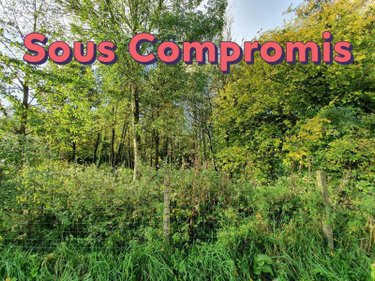Terrains de loisirs bois etangs a vendre Ligny-sur-Canche 62270 Pas-de-Calais 6098 m2  32160 euros