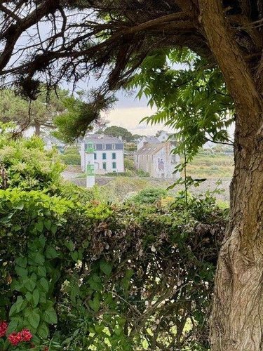 Maison a vendre Clohars-Carnoët 29360 Finistère 99 m2 5 pièces 624000 euros