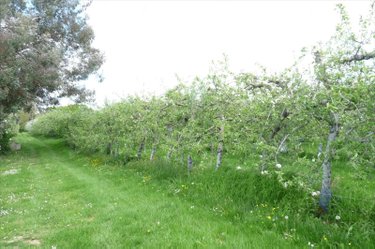 Bien agricole a vendre Soucé 53300 Mayenne  624000 euros