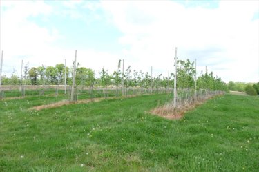 Bien agricole a vendre Soucé 53300 Mayenne  624000 euros