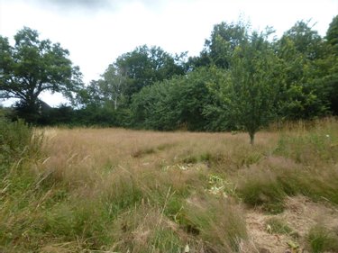 Terrain a batir a vendre Mayenne 53100 Mayenne 2066 m2  58000 euros