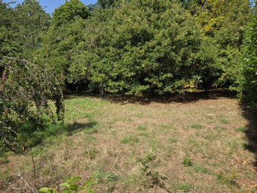 Terrain a batir a vendre Mayenne 53100 Mayenne 2066 m2  58000 euros