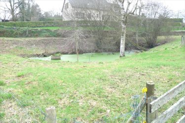 Terrains de loisirs bois etangs a vendre Ambrières-les-Vallées 53300 Mayenne 2451 m2  17500 euros