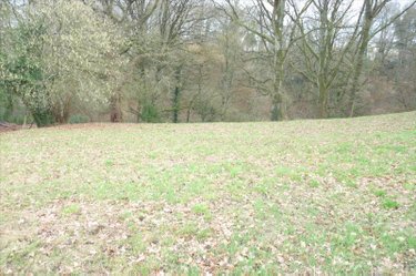 Terrains de loisirs bois etangs a vendre Ambrières-les-Vallées 53300 Mayenne 2451 m2  32000 euros