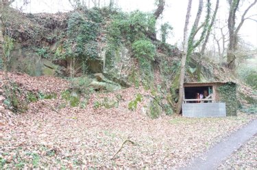 Terrains de loisirs bois etangs a vendre Ambrières-les-Vallées 53300 Mayenne 2451 m2  32000 euros