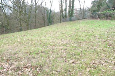 Terrains de loisirs bois etangs a vendre Ambrières-les-Vallées 53300 Mayenne 2451 m2  17500 euros