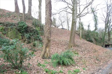 Terrains de loisirs bois etangs a vendre Ambrières-les-Vallées 53300 Mayenne 2451 m2  17500 euros