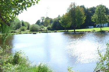 Terrains de loisirs bois etangs a vendre Vautorte 53500 Mayenne 11000 m2  84000 euros