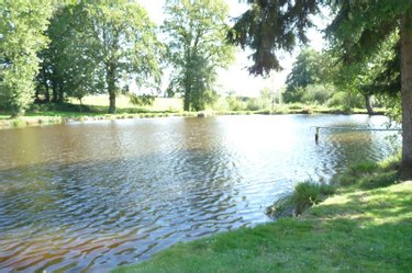 Terrains de loisirs bois etangs a vendre Vautorte 53500 Mayenne 11000 m2  84000 euros