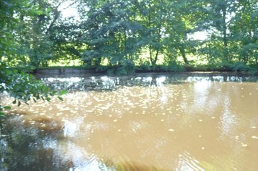 Terrains de loisirs bois etangs a vendre Vautorte 53500 Mayenne 11000 m2  84000 euros