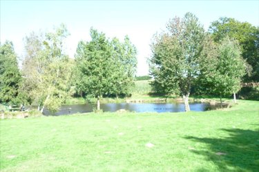 Terrains de loisirs bois etangs a vendre Vautorte 53500 Mayenne 11000 m2  84000 euros