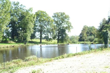 Terrains de loisirs bois etangs a vendre Vautorte 53500 Mayenne 11000 m2  84000 euros