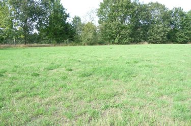 Terrain a batir a vendre Ambrières-les-Vallées 53300 Mayenne 1500 m2  40000 euros