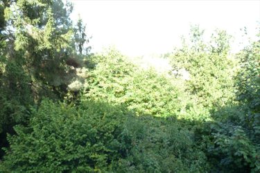 Maison a vendre Ambrières-les-Vallées 53300 Mayenne 175 m2 9 pièces 105000 euros