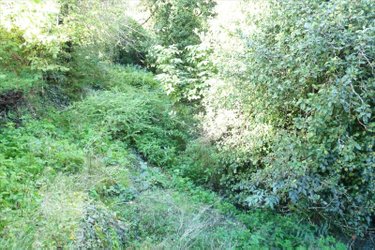 Maison a vendre Ambrières-les-Vallées 53300 Mayenne 175 m2 9 pièces 90000 euros