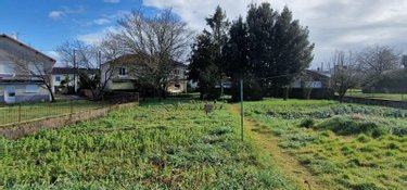 Maison a vendre Sainte-Verge 79100 Deux-Sèvres 92 m2 5 pièces 116000 euros