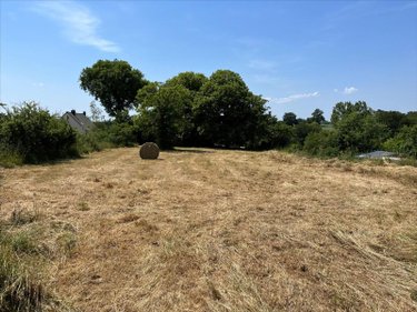 Terrain a batir a vendre Saint-Christophe-des-Bois 35210 Ille-et-Vilaine 1907 m2  41800 euros