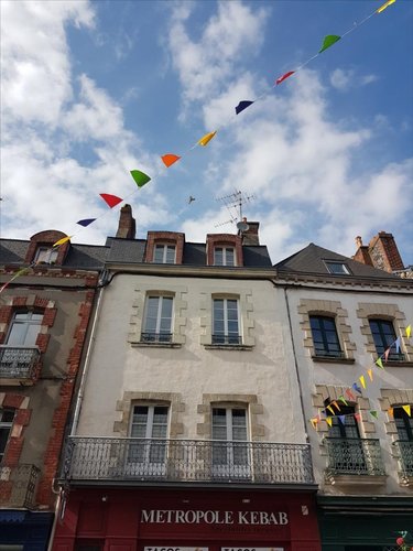 Location appartement Vitré 35500 Ille-et-Vilaine 28 m2 2 pièces 350 euros