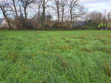 Terrain a batir a vendre Locunolé 29310 Finistère 1404 m2  84720 euros