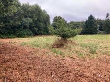 Terrain a batir a vendre Languidic 56440 Morbihan 2163 m2  105900 euros