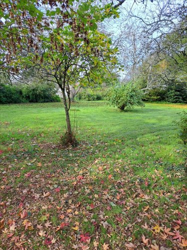 Maison a vendre Mellac 29300 Finistère 100 m2 5 pièces 311700 euros
