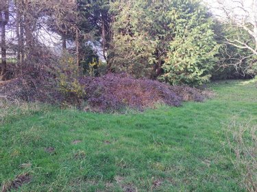 Terrain a batir a vendre Quimperlé 29300 Finistère 400 m2  55068 euros