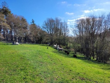 Maison a vendre Clohars-Carnoët 29360 Finistère 198 m2 10 pièces 752236 euros