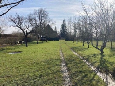 Terrains de loisirs bois etangs a vendre Congé-sur-Orne 72290 Sarthe 1800 m2  42400 euros