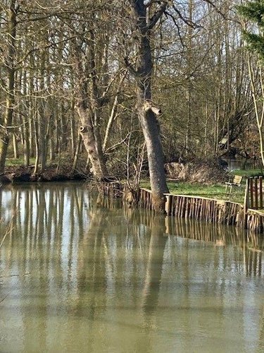 Terrains de loisirs bois etangs a vendre Congé-sur-Orne 72290 Sarthe 1800 m2  37100 euros