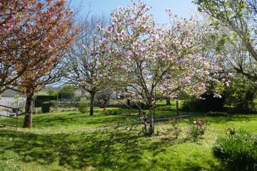 Maison a vendre Argenton-sur-Creuse 36200 Indre 110 m2 6 pièces 156880 euros