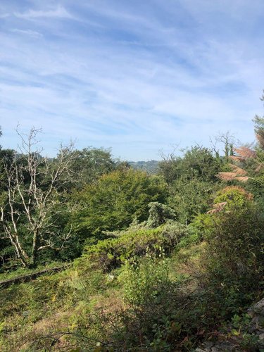 Maison a vendre Aubazines 19190 Corrèze 29 m2 2 pièces 37060 euros