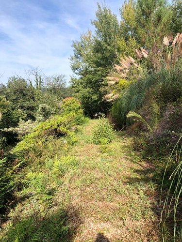 Maison a vendre Aubazines 19190 Corrèze 29 m2 2 pièces 37060 euros