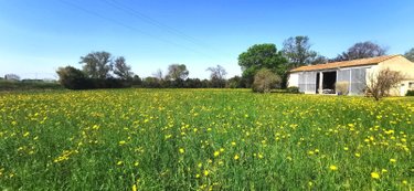 Viager maison Saint-Martin-de-Crau 13310 Bouches-du-Rhône 165 m2 6 pièces 300000 euros