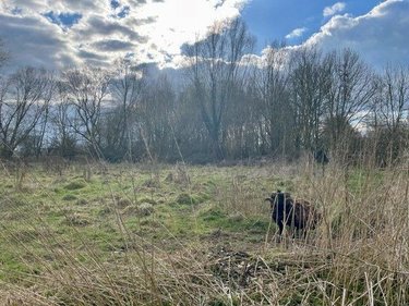propriete a vendre Steenwerck 59181 Nord 170 m2 5 pièces 539000 euros