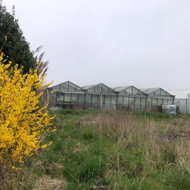 Maison a vendre Villiers 36290 Indre 154 m2 5 pièces 213000 euros