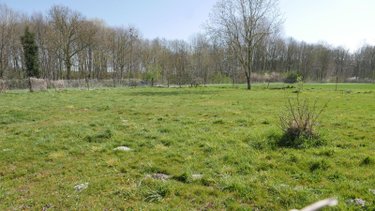 Terrain a batir a vendre Alincourt 08310 Ardennes 862 m2  37800 euros