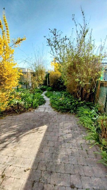 Maison a vendre Bailleul 59270 Nord 60 m2 4 pièces 147500 euros