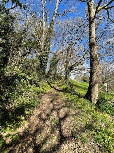 Maison a vendre Lannion 22300 Côtes-d'Armor 193 m2 7 pièces 499430 euros