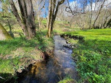 Maison a vendre Lannion 22300 Côtes-d'Armor 193 m2 7 pièces 499430 euros