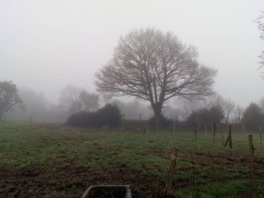 Maison a vendre Villaines-la-Juhel 53700 Mayenne 75 m2 6 pièces 84560 euros