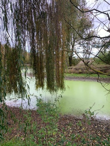 Terrains de loisirs bois etangs a vendre Châtillon-sur-Indre 36700 Indre 11046 m2  27700 euros
