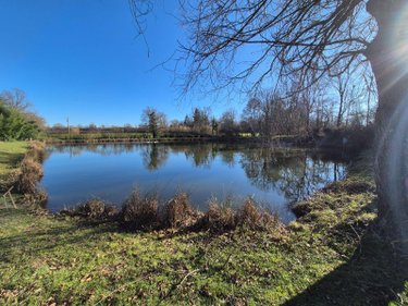 Terrains de loisirs bois etangs a vendre Neuvy-Saint-Sépulchre 36230 Indre 6290 m2  32000 euros