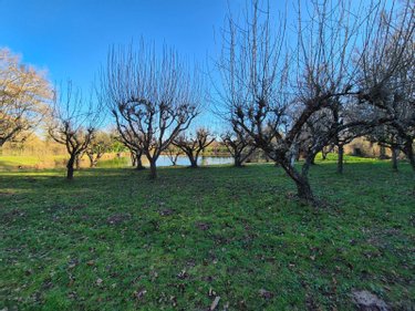 Terrains de loisirs bois etangs a vendre Neuvy-Saint-Sépulchre 36230 Indre 6290 m2  32000 euros