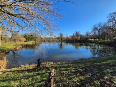 Terrains de loisirs bois etangs a vendre Neuvy-Saint-Sépulchre 36230 Indre 6290 m2  32000 euros