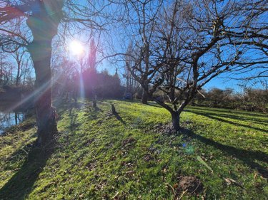 Terrains de loisirs bois etangs a vendre Neuvy-Saint-Sépulchre 36230 Indre 6290 m2  32000 euros