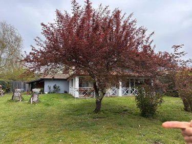 Maison a vendre Carcans 33121 Gironde 112 m2 4 pièces 415000 euros