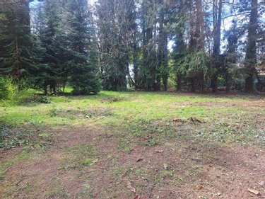 Terrain a batir a vendre Rédené 29300 Finistère 885 m2  161379 euros