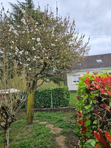 Maison a vendre Déols 36130 Indre 74 m2 4 pièces 105000 euros