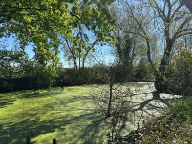 propriete a vendre Chouzé-sur-Loire 37140 Indre-et-Loire 240 m2 8 pièces 496960 euros